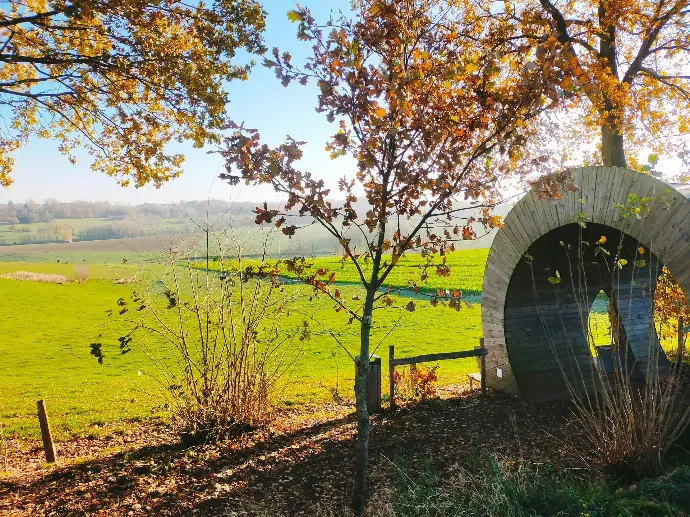 Sfeerbeeld van de Muziekbos Trail